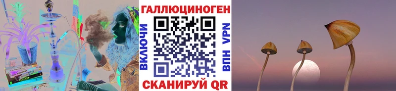 магазин продажи сайты даркнета состав Псилоцибиновые грибы Magic Shrooms Алдан